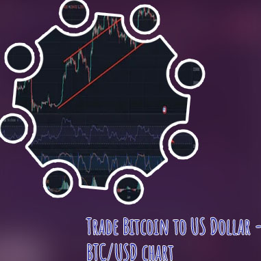 1 bitcoin to us dollar