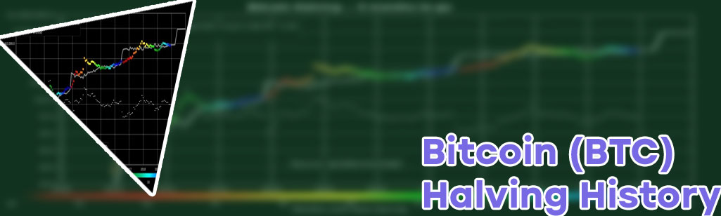 Bitcoin halving graph
