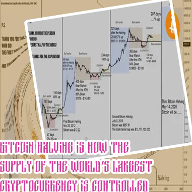 Bitcoin halving schedule