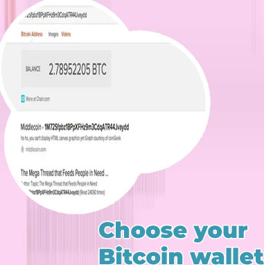 Check bitcoin wallet