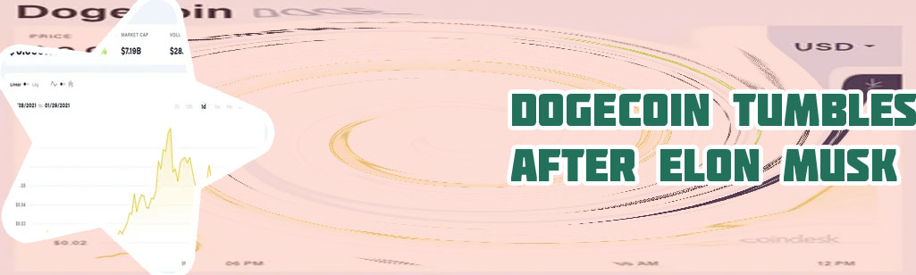 Dogecoin stock chart live