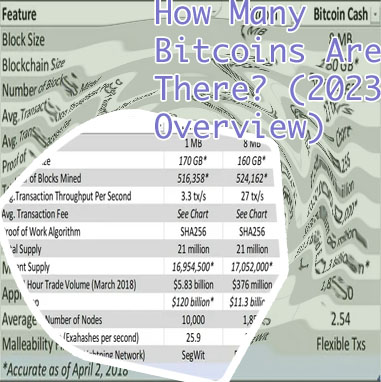 How many bitcoins are there in total