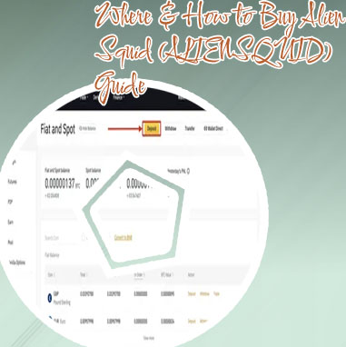 Squid crypto binance