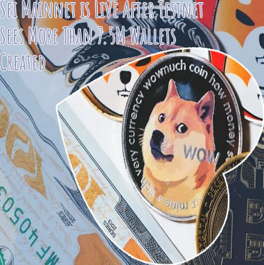 Top 100 dogecoin wallets